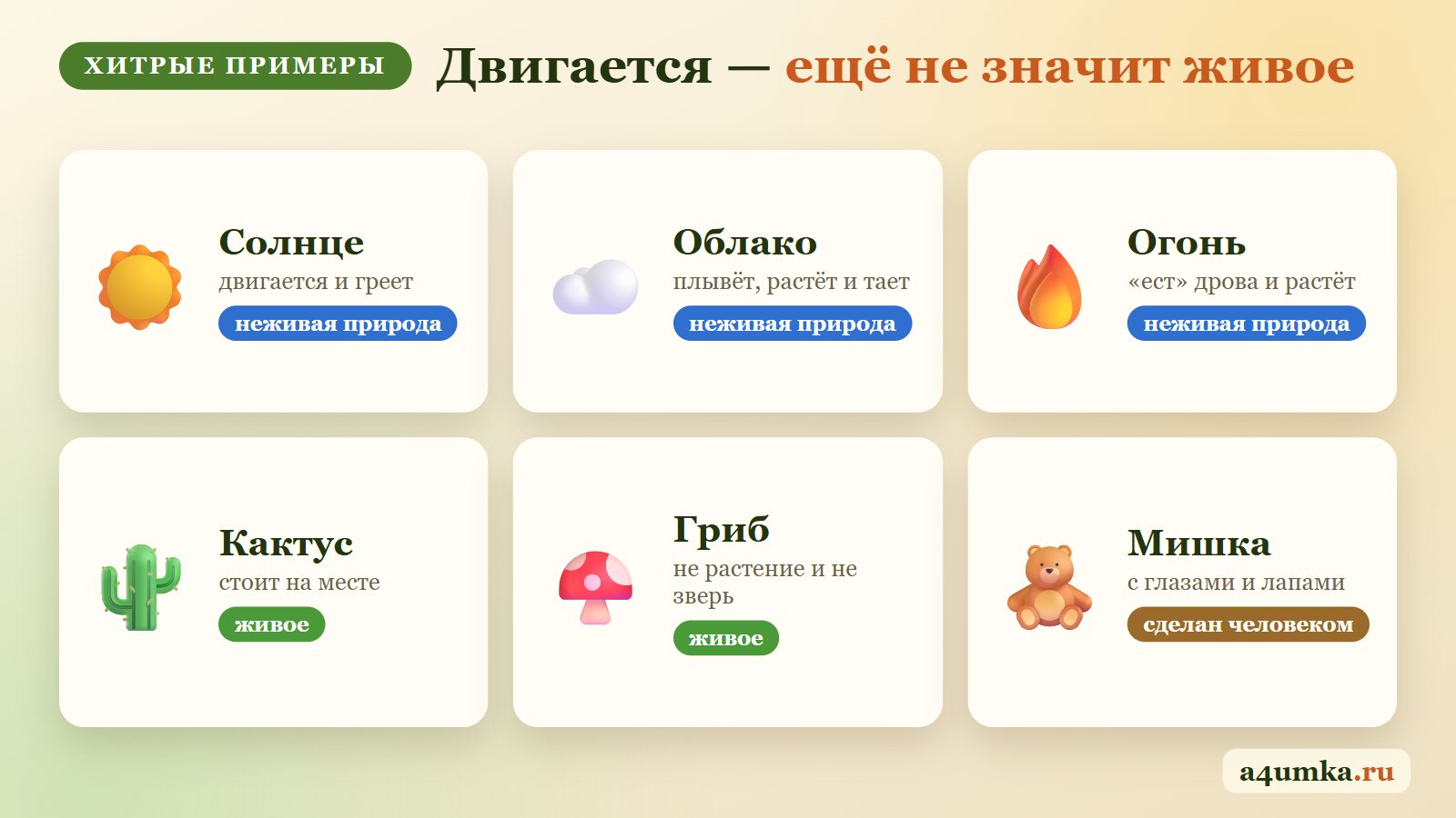 Хитрые примеры живой и неживой природы для детей: солнце, облако, огонь, кактус, гриб, игрушечный мишка